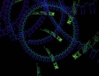 Similar image 22136407