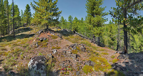 Similar image 22144006