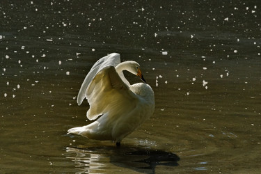 Similar image 22148629