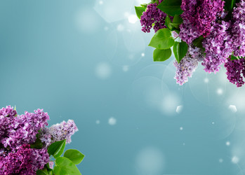 Similar image 22136902