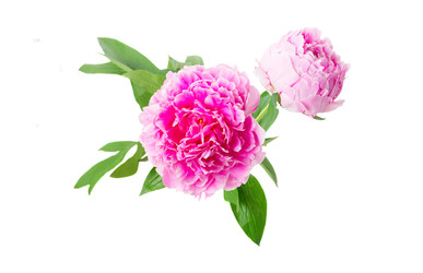 Similar image 22136904