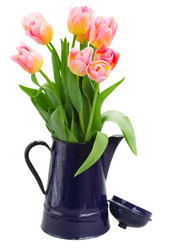 Similar image 22136905