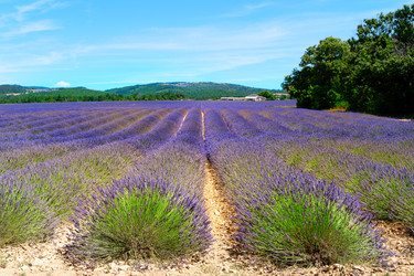 Similar image 22136906