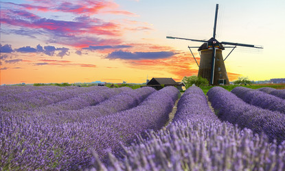 Similar image 22136922