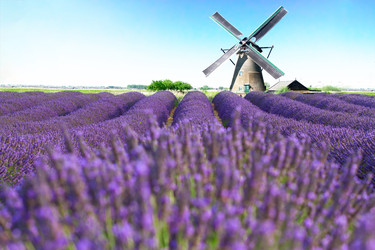 Similar image 22136923