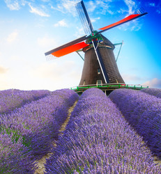 Similar image 22136924