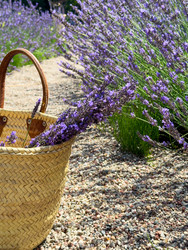 Similar image 22136925