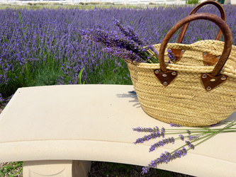 Similar image 22136926