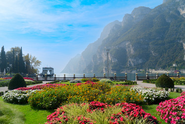 Similar image 22137091