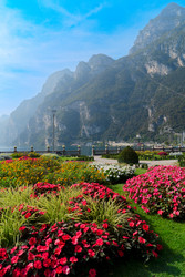 Similar image 22137092