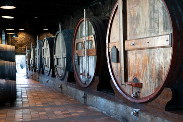 Similar image 22137098