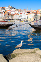 Similar image 22137105