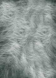 Similar image 22133540