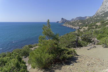 Similar image 22134655