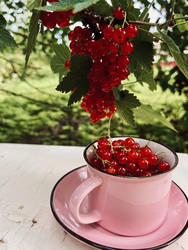 Similar image 22133408