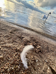 Similar image 22133409