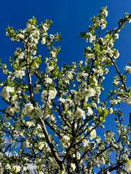 Similar image 22133410