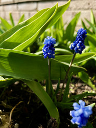 Similar image 22133412