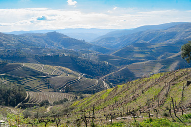 Similar image 22137277