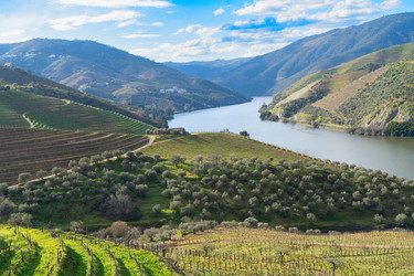 Similar image 22137282