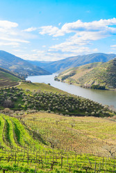 Similar image 22137283