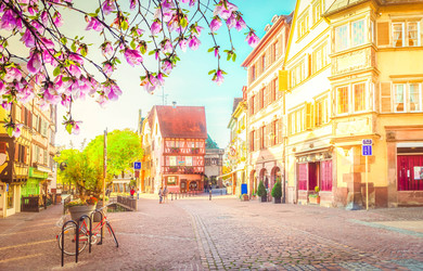 Similar image 22137295