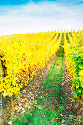 Similar image 22137302