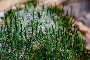 Similar image 22133547