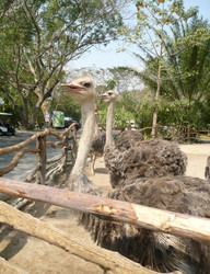 Similar image 22134670