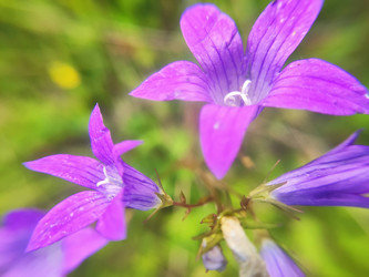 Similar image 22134672