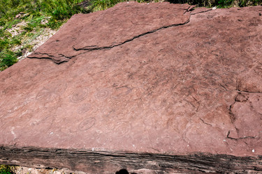 Similar image 22134680