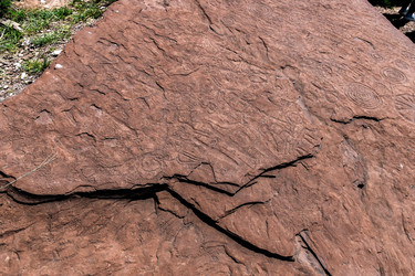 Similar image 22134683