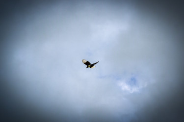 Similar image 22134691