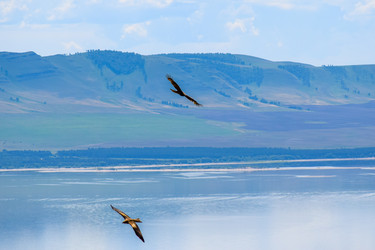 Similar image 22134696