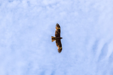 Similar image 22134698