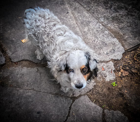 Similar image 22134700