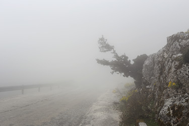 Similar image 22134782