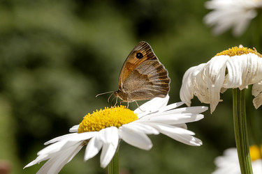 Similar image 22134783