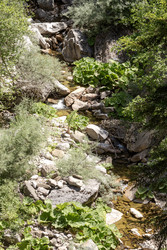 Similar image 22134786