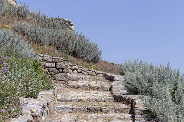 Similar image 22134788