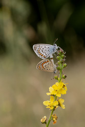 Similar image 22134790