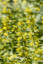 Similar image 22134792