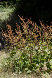 Similar image 22134796