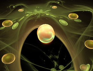 Similar image 22150960