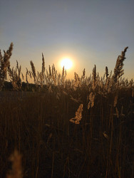 Similar image 22134811