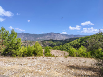 Similar image 22134813