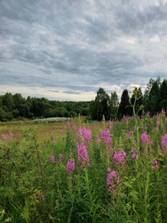 Similar image 22134814