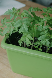 Similar image 22134817