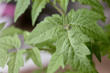 Similar image 22134818