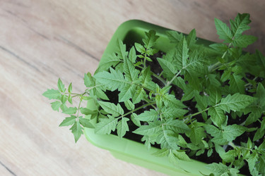 Similar image 22134819